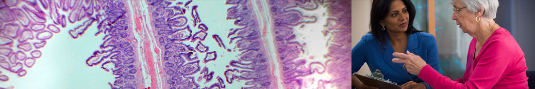 Gastrointestinal-Cancer